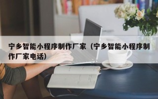 重庆宁乡智能小程序制作厂家（宁乡智能小程序制作厂家电话）